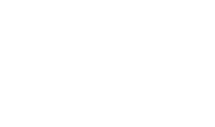 Hand Helds Solutions