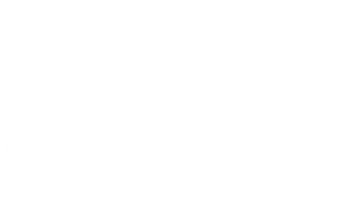 Hand-Helds-Solutions Hand Helds Solutions